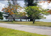 Wilcommen, No. 0070 Saipan Beach Road Canoe House with Flame Trees in Bloom